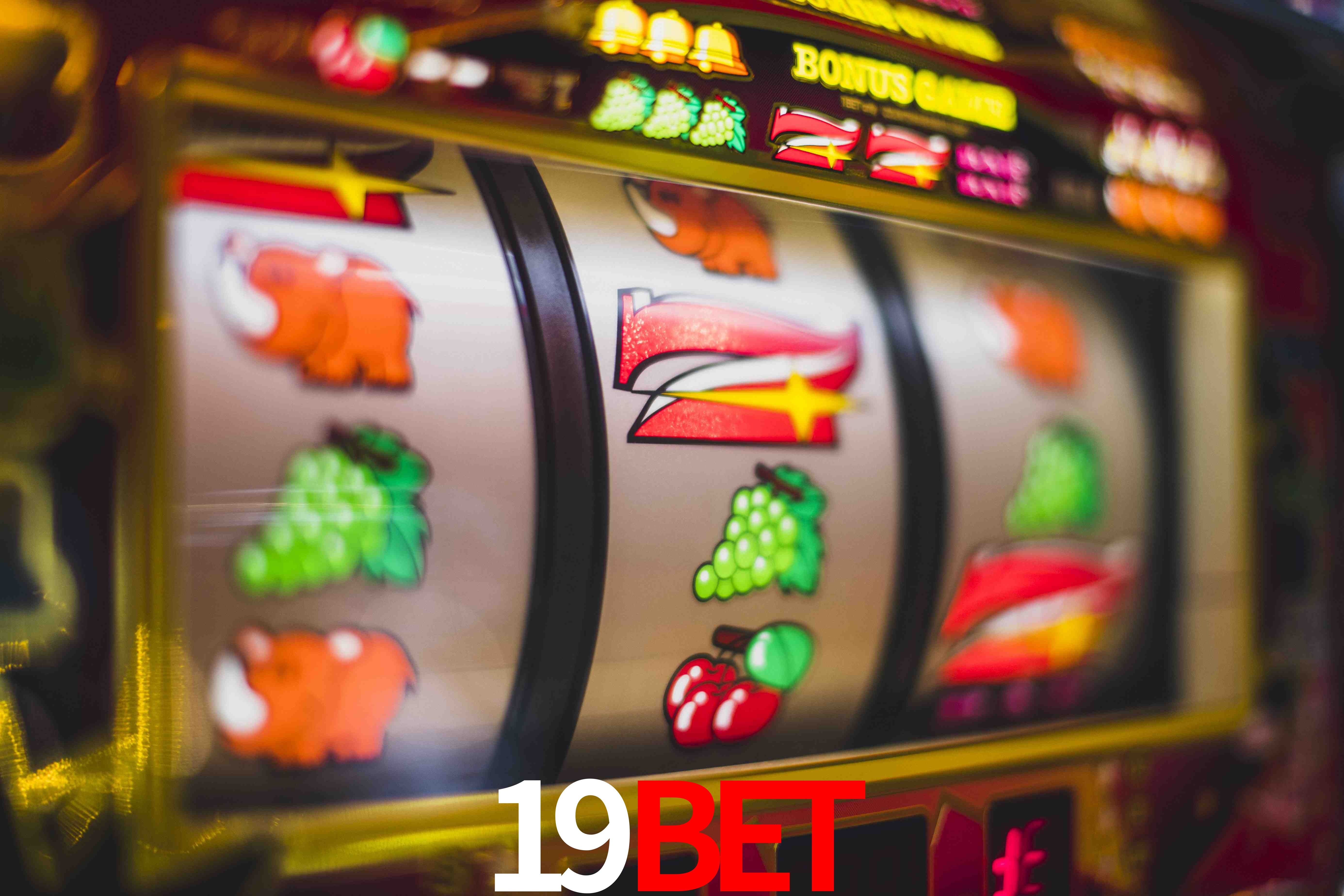 Statistics 19bet